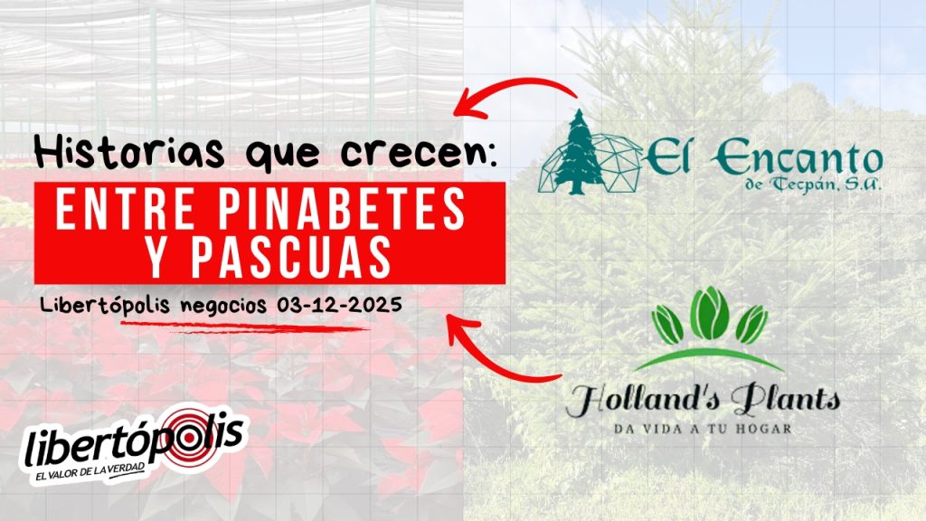 Miniatura de YouTube MD (2)