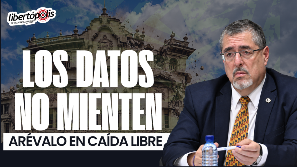 LBAM 2 (14)